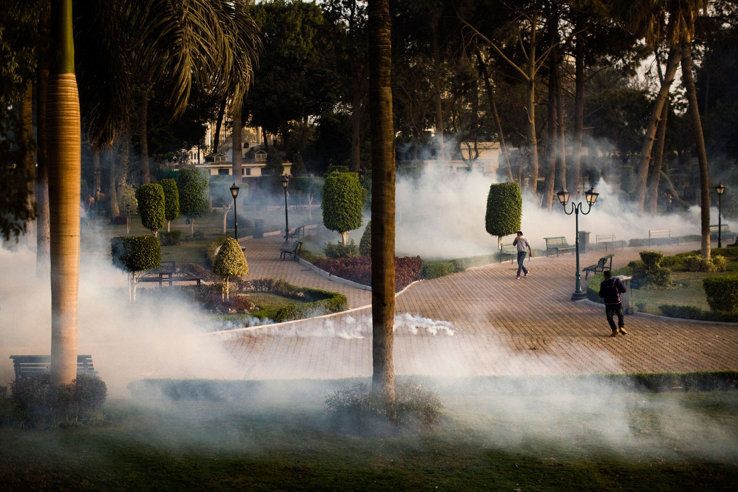 Tear gas fills a park in downtown Cairo during Friday protests against the Mubarak government.