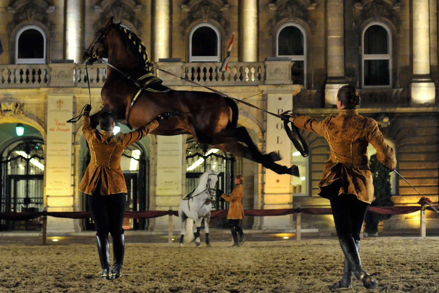 May 7, 2011.  Both equine and human members of Europe’s Epona Spanish Riding School perform in Budapest. The school was honoring the Royal Guards of Hungary’s past.