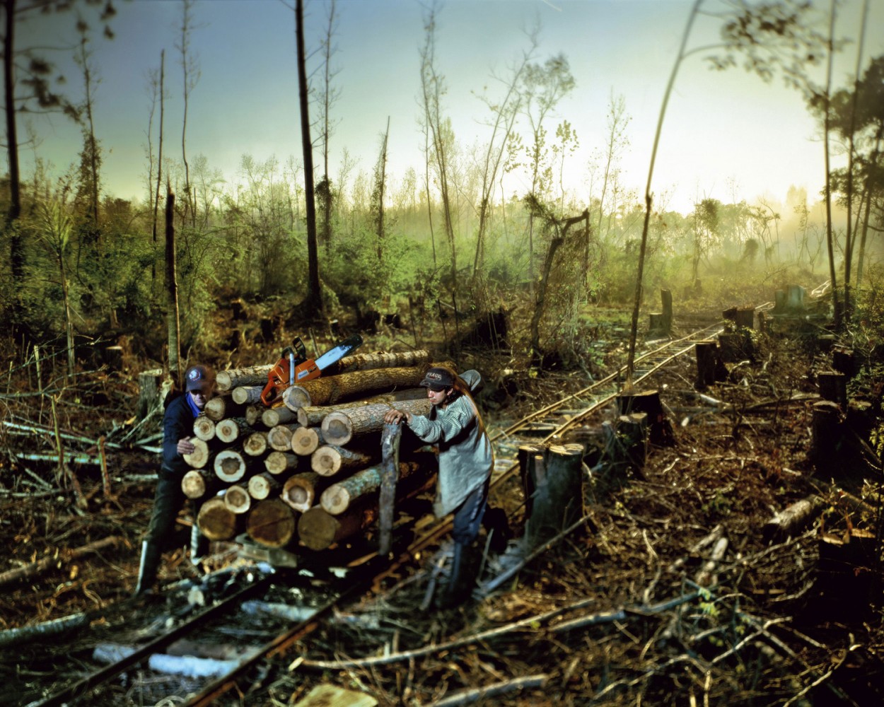 The Woodcutters, 2010From the series The High Tide