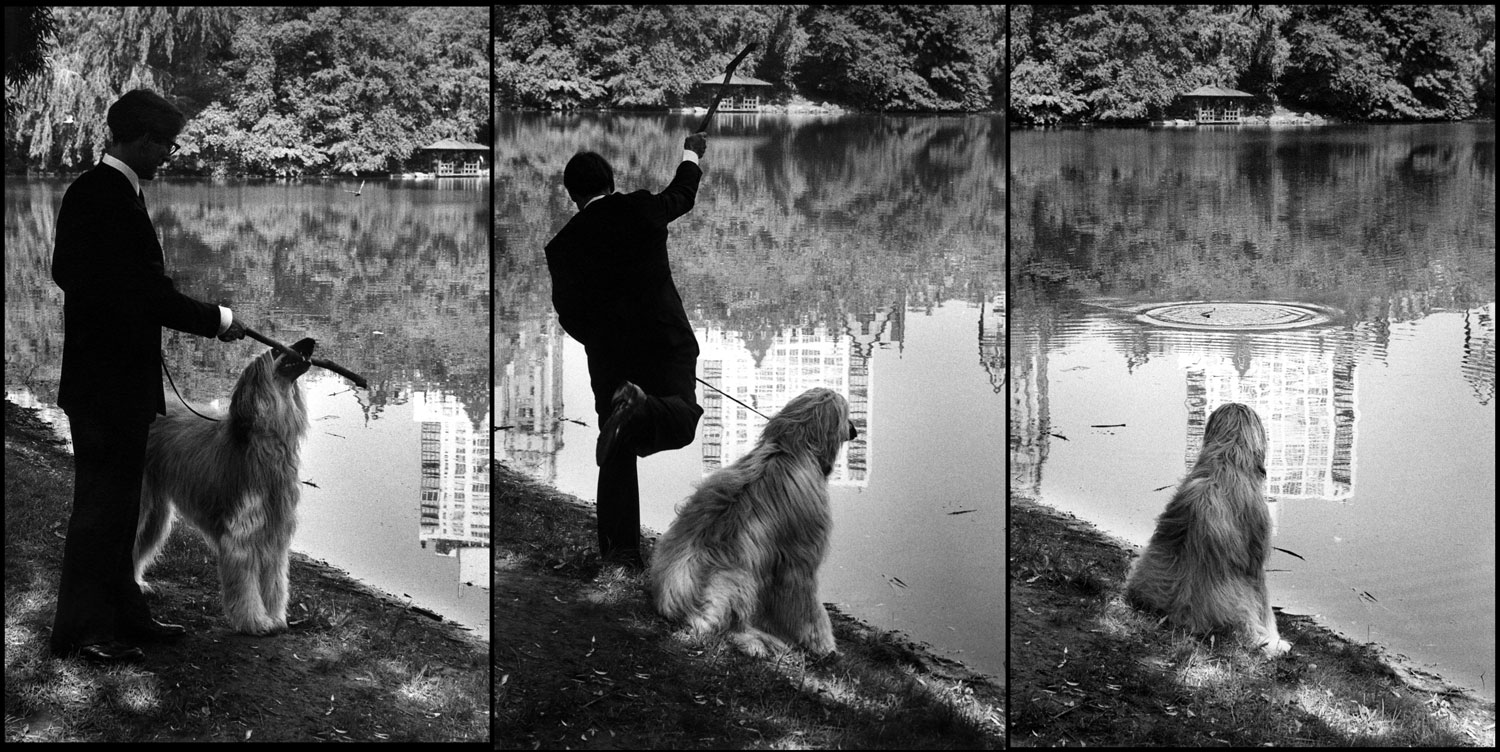 I like this one sequence of three. It’s a man throwing a stick for the dog to go and get. Of course, the dog can care less. Taken in Central Park right across from where I live.