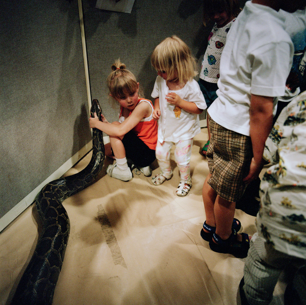 Snake With Kids, 2000