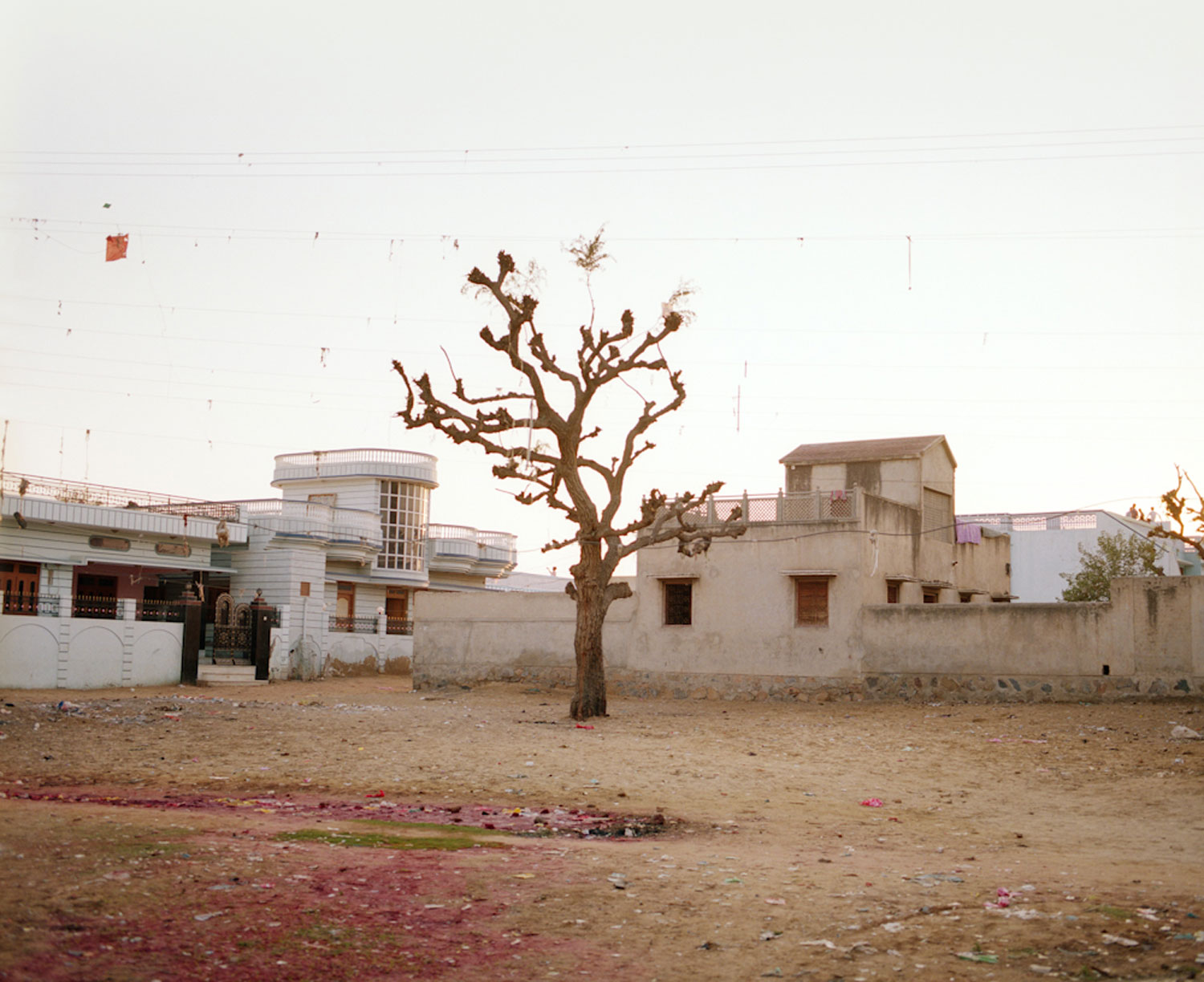 Tree &amp; Kite, Mandawa, Rajasthan 2010