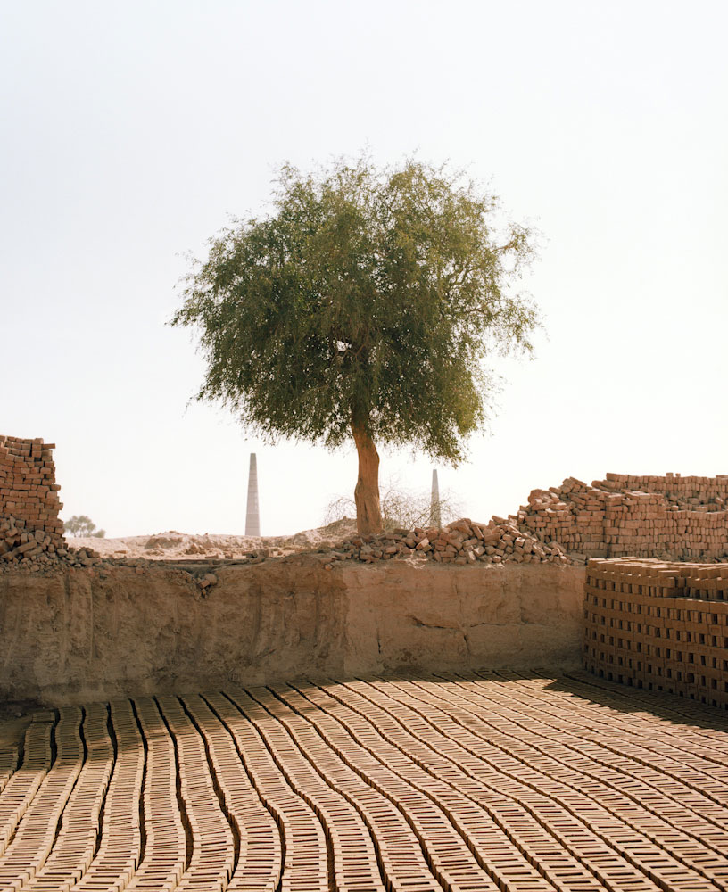Acacia and Kilns, Thar Desert, Rajasthan 2010