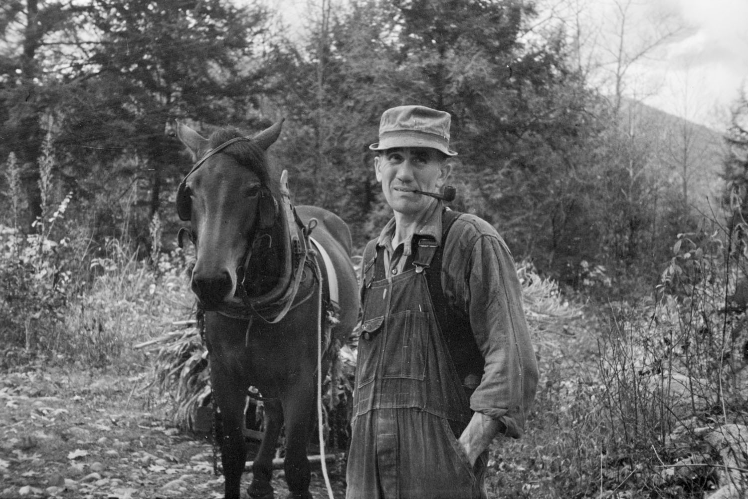 A man from Nicholson Hollow with one of the few horses, Shenandoah National Park, October 1935