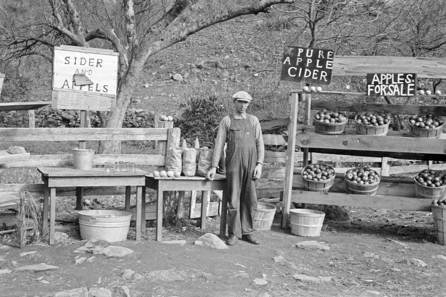 A cider and apple stand on the Lee Highway, Shenandoah National Park, October 1935