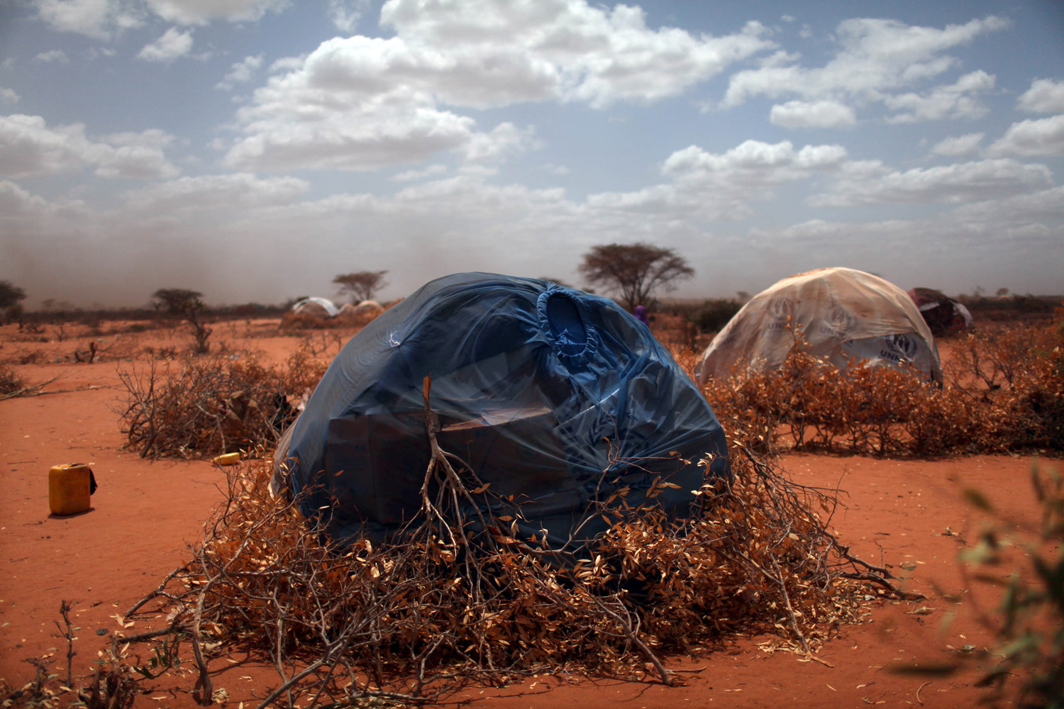 A makeshift shelter in the Dadaab refugee complex.