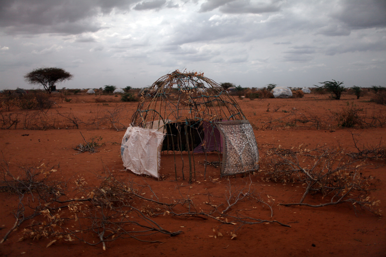 A makeshift shelter in the Dadaab refugee complex.