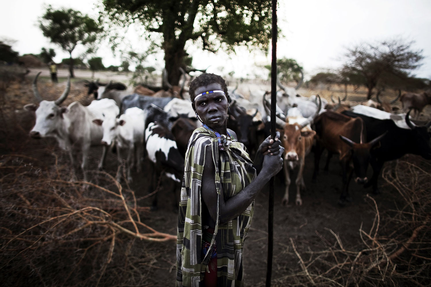 A woman from the highly marginalized and deeply distrusted Murle stands with her cattle at dawn in Pibor.