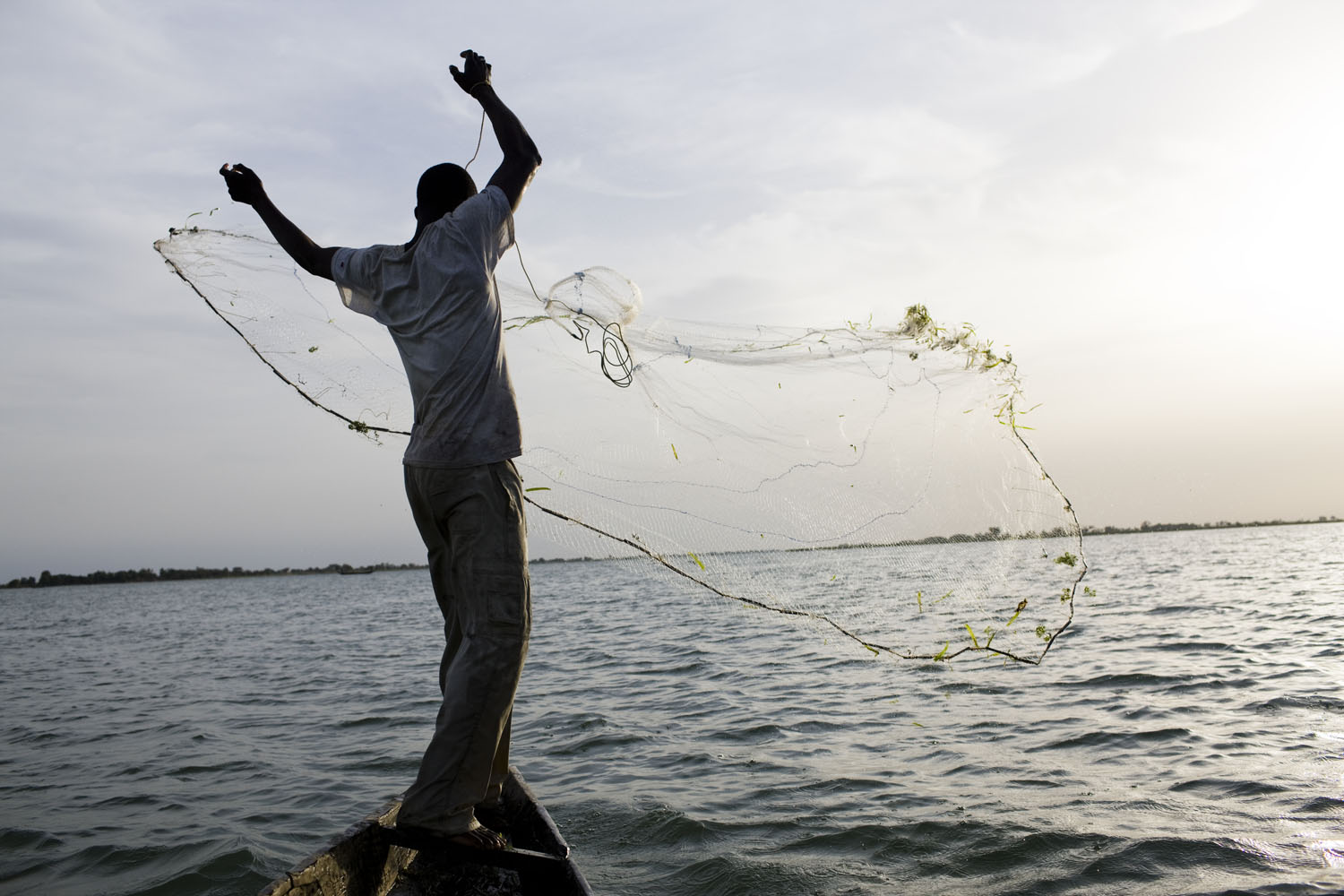 Mali, Segou, 2011. 
                              A man throws a fishing net on the the Niger River, which Ibn Battuta believed was the Nile. He traveled southwest along the river until he reached the capital of the Mali Empire.