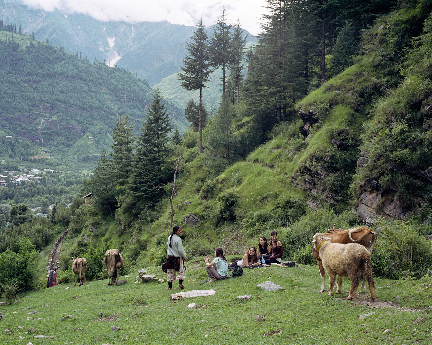 Four Israeli backpackers watch local women guide their animals down the mountain in Vashisht, India, August 2007.