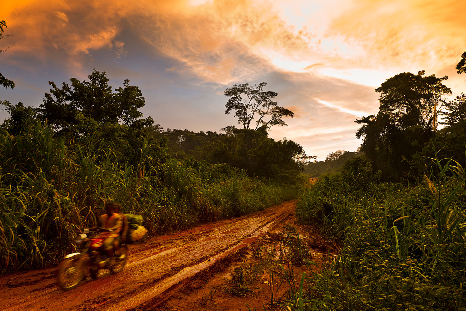 Locals travel down a logging road in the Kika region of Cameroon on June 6, 2010.
