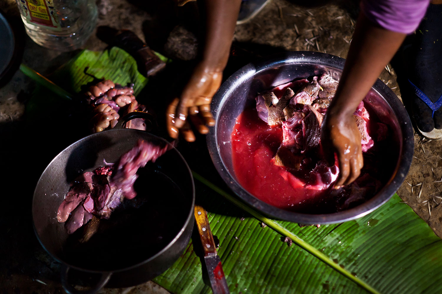 A woman prepares a porcupine for the pot in a small Cameroonian village close to to Nyabissam on July 27, 2011. Any cuts on her hands or arms could invite disease during the bloody preparation process, a fact that many consumers of bushmeat are unaware of.