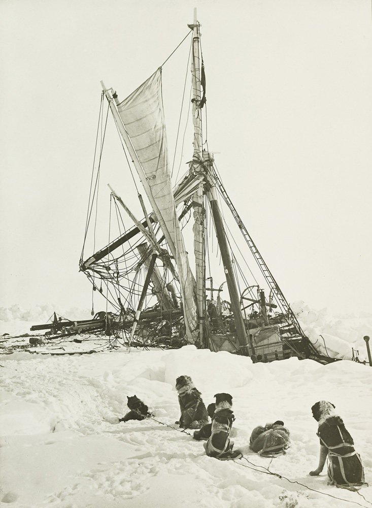 The Endurance crushed between the floes. A week after the ship had been forced out of the ice came the final blow, the pressure crushed the ship into a mass of broken timber fragments, and the Endurance sank on October 25,  1915.