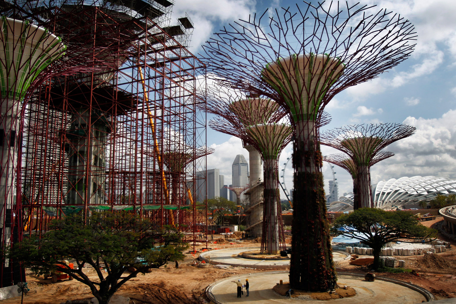 June 29, 2011. People are dwarfed by the structure of  Supertrees  seen against the financial skyline of Singapore. These  Supertrees  are vertical gardens, embedded with environmentally sustainable functions and range from 25-50-meters in height, and are part of the government's efforts to bring their national gardens into the city center.