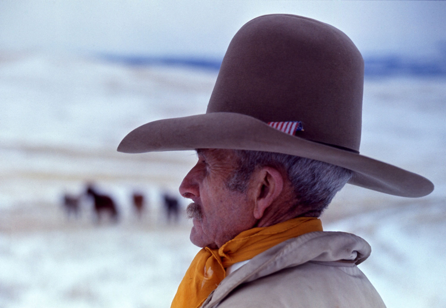 Mustang breeder Bob Brislawn, eastern Wyoming, 1968.