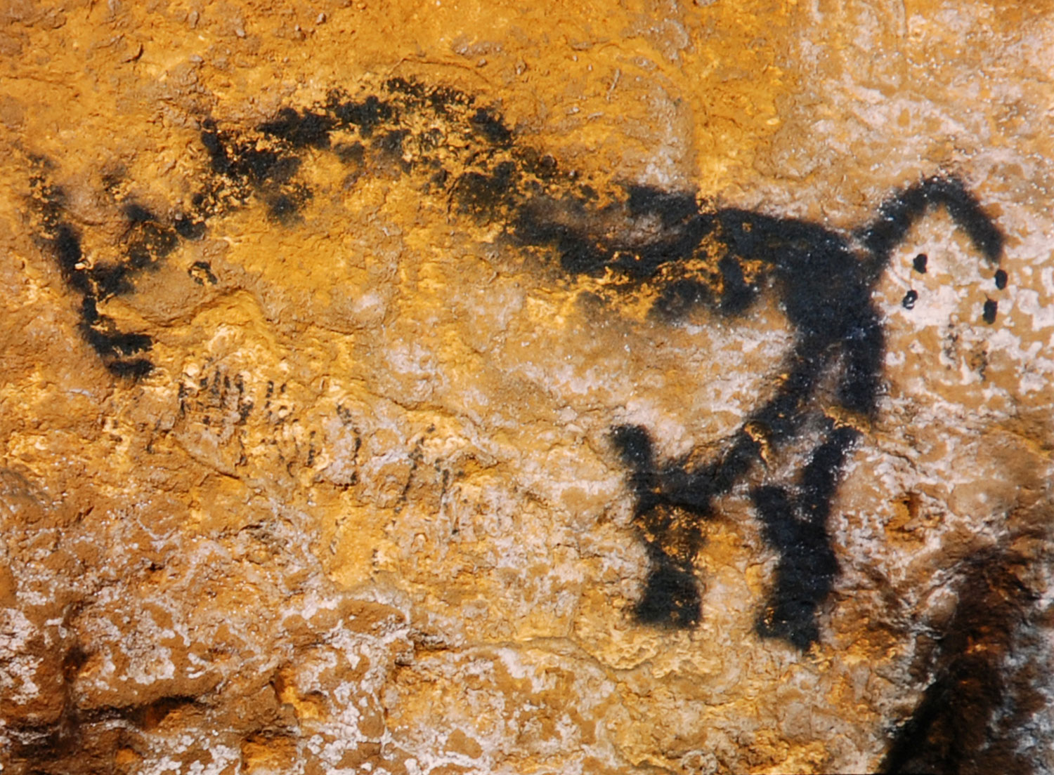 The idea of an enormous (over six feet tall and weighing roughly three tons) woolly rhino roaming what is now France might sound like the stuff of science fiction. But roughly 17,000 years ago, on the limestone walls of Lascaux, an artful, Ice Age hand recorded the existence of just such a creature. Fossils indicate that the front horn of the animal could reach three feet in length.