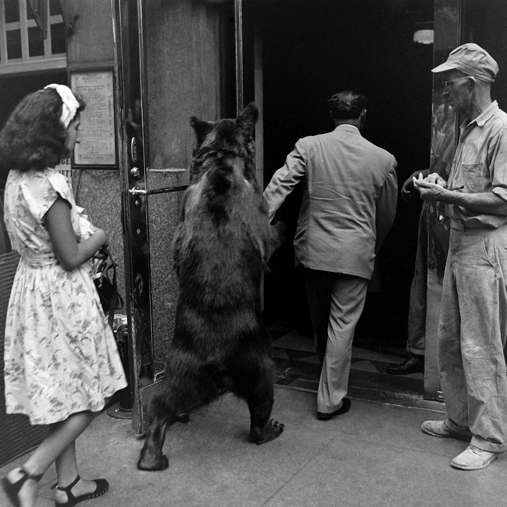 Stanley Beebe leads Rosie the bear into a building in New York City, 1946.
