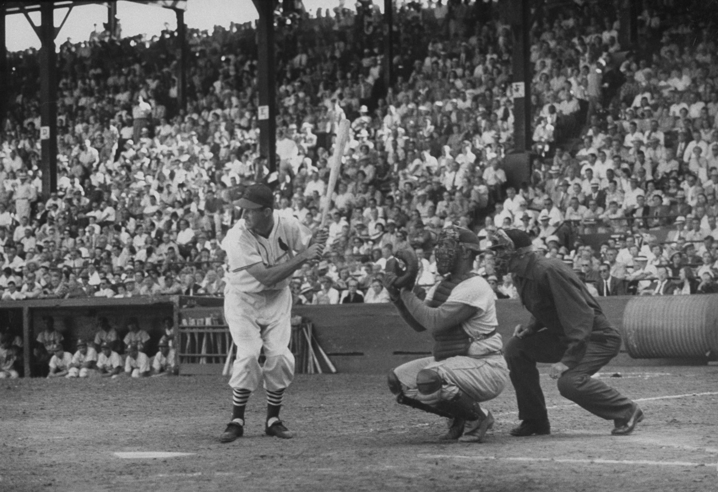 Stan Musial displays his seemingly awkward "knock-kneed" bating stance, 1952.