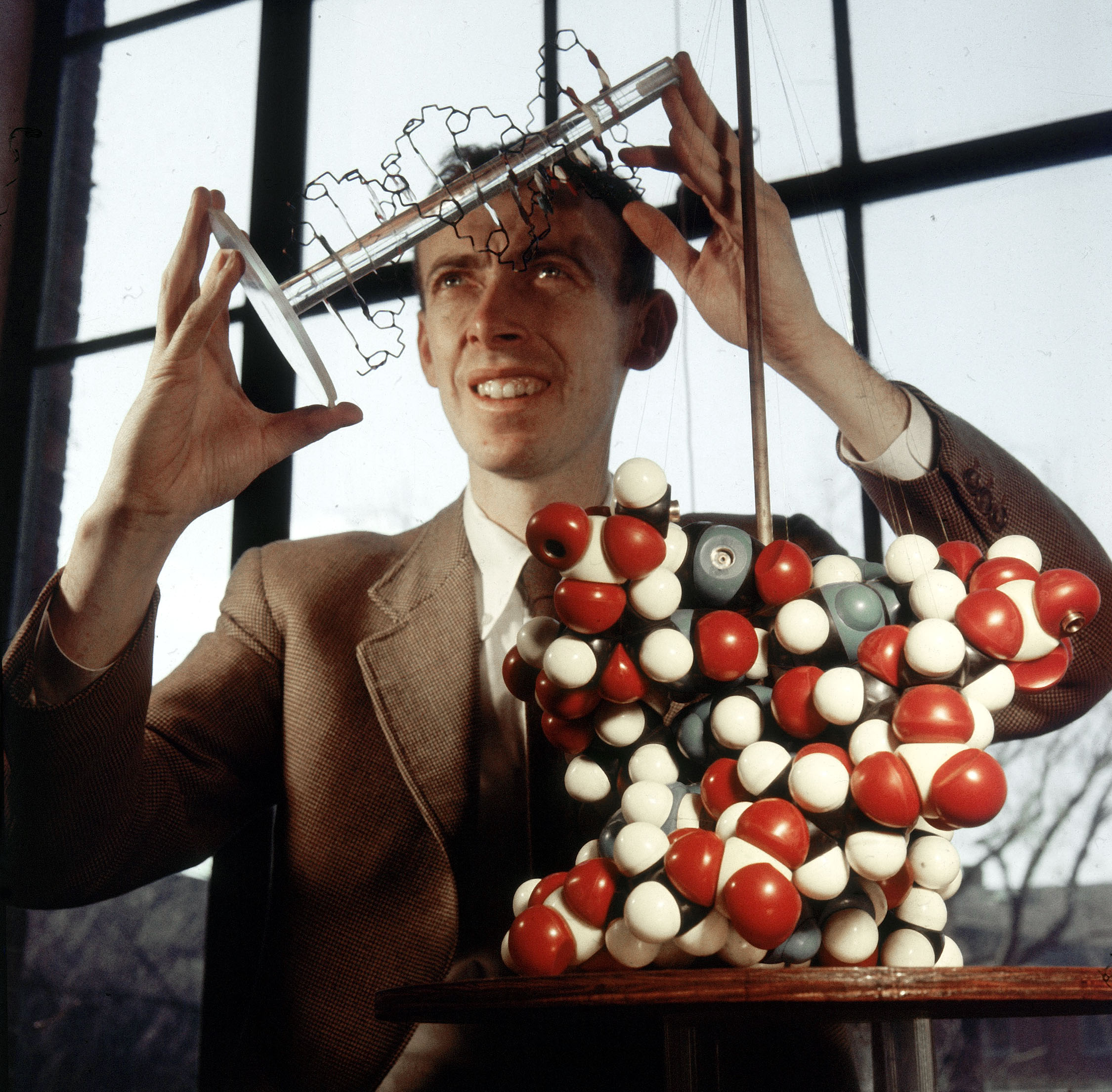 Geneticist and biologist James Watson wins Nobel Prize for the co-discovery of the structure of DNA.