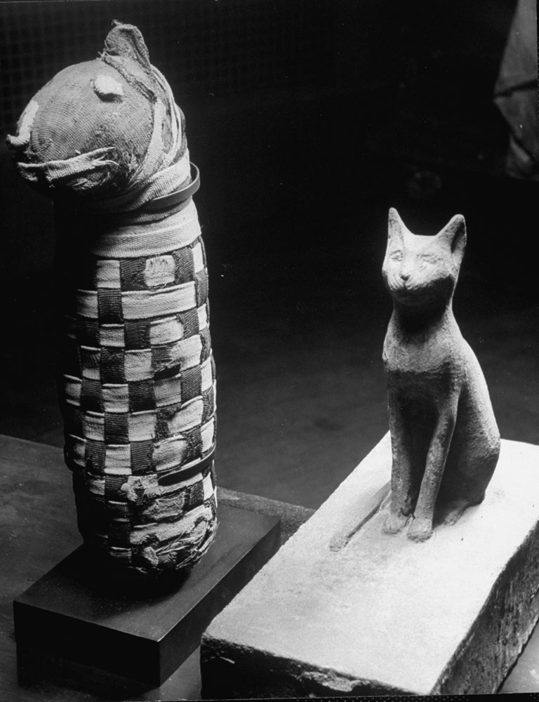 Two Egyptian figures of cats are displayed at the Metropolitan Museum of Art