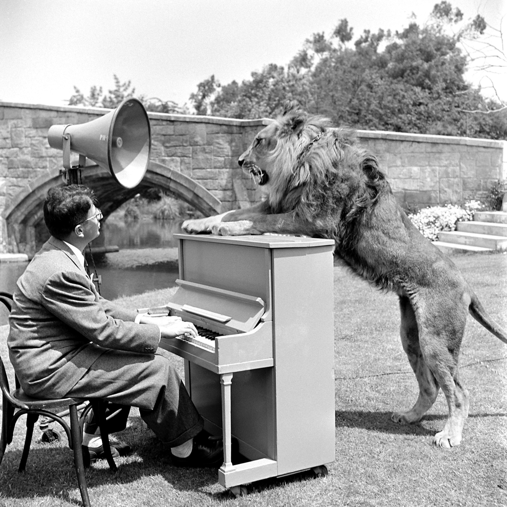 MGM Studio's Sidney Franklin Jr. with Fagan the lion, 1951.