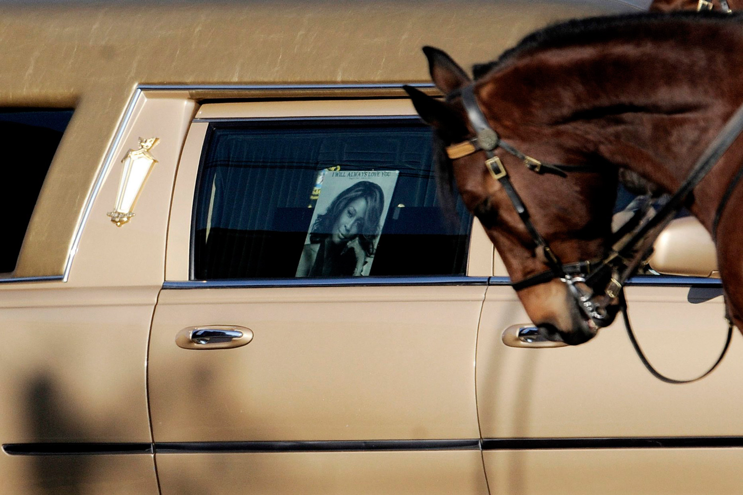 Feb. 18, 2012. A police horse is seen in front of the hearse that carried the casket of singer Whitney Houston, outside of the New Hope Baptist Church before Houston's funeral in Newark, N.J.