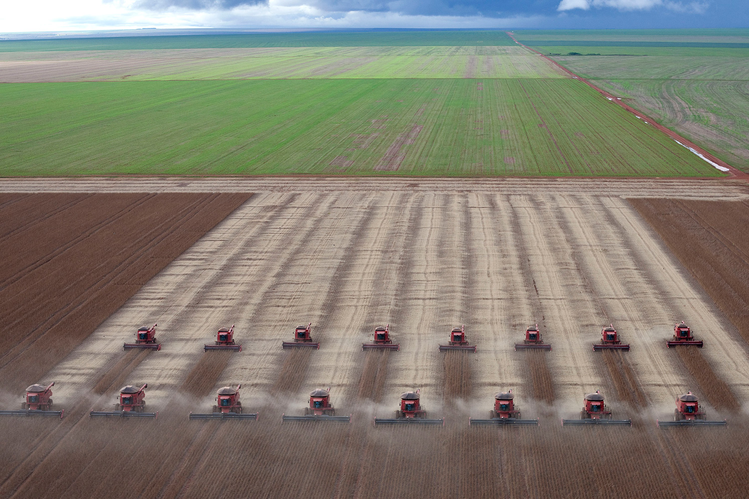 March 27, 2012. Workers use combines to harvest soybeans in Tangara da Serra, State of Mato Grosso, Brazil.