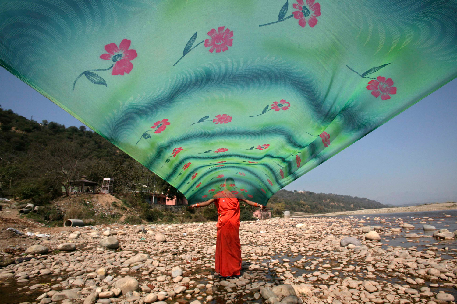 March 3, 2012. A woman dries her sari, a traditional cloth used for women's clothing, after washing it on the banks of river Tawi in Jammu, India.