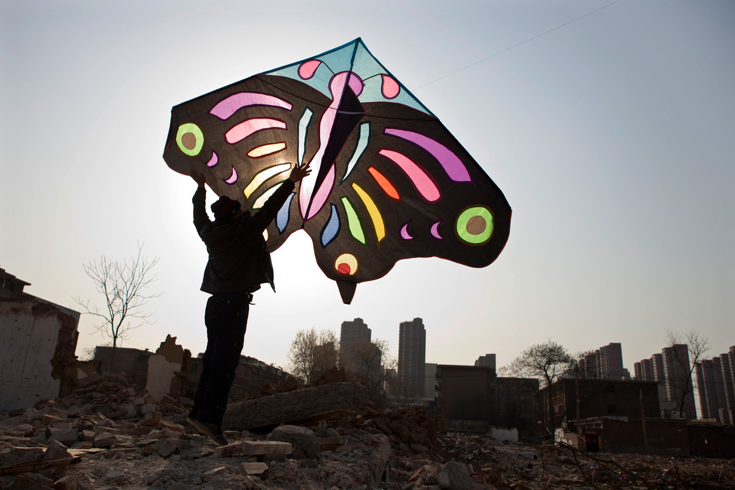 March 24, 2012. A man holds up a kite as he helps to fly it at a demolition site near residential areas in Shijiazhuang, Hebei province, China.