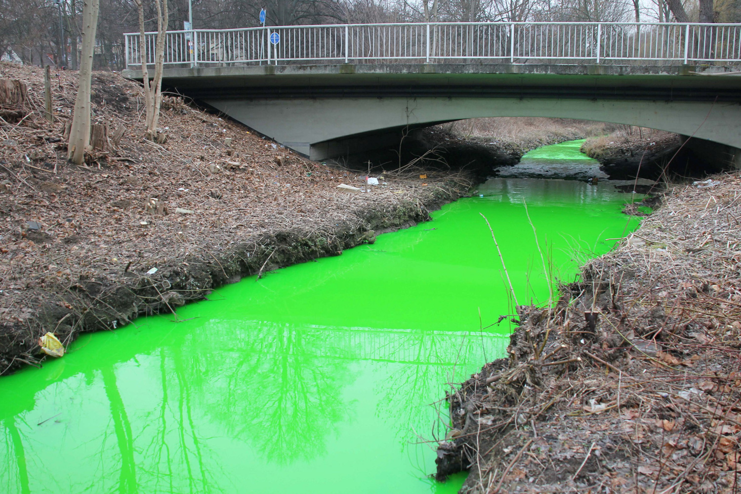 March 2, 2012. The water of the Grone stream has turned green after a fire in Goettingen, Germany.
