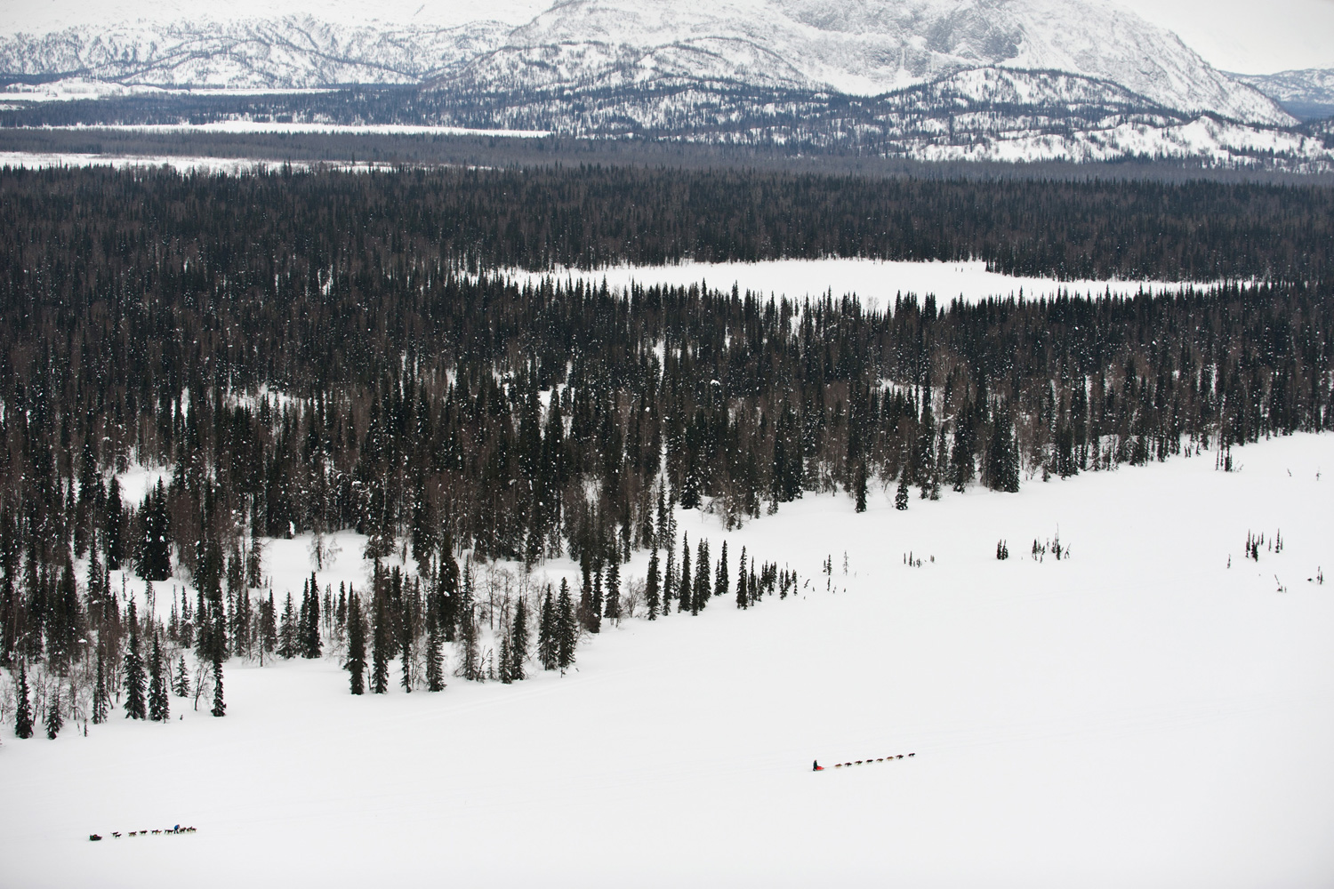 March 5, 2012. Two teams competing in the Iditarod Trail Sled Dog Race drive between the Skwentna and Finger Lake checkpoints in Alaska heading toward the Alaska Mountain Range.