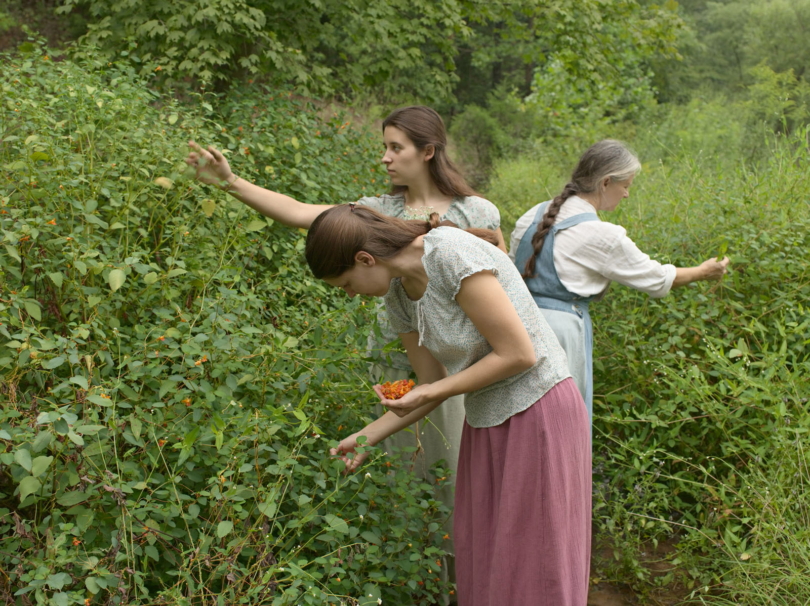 Jasmine, Hannah and Vicki Picking Jewelweed