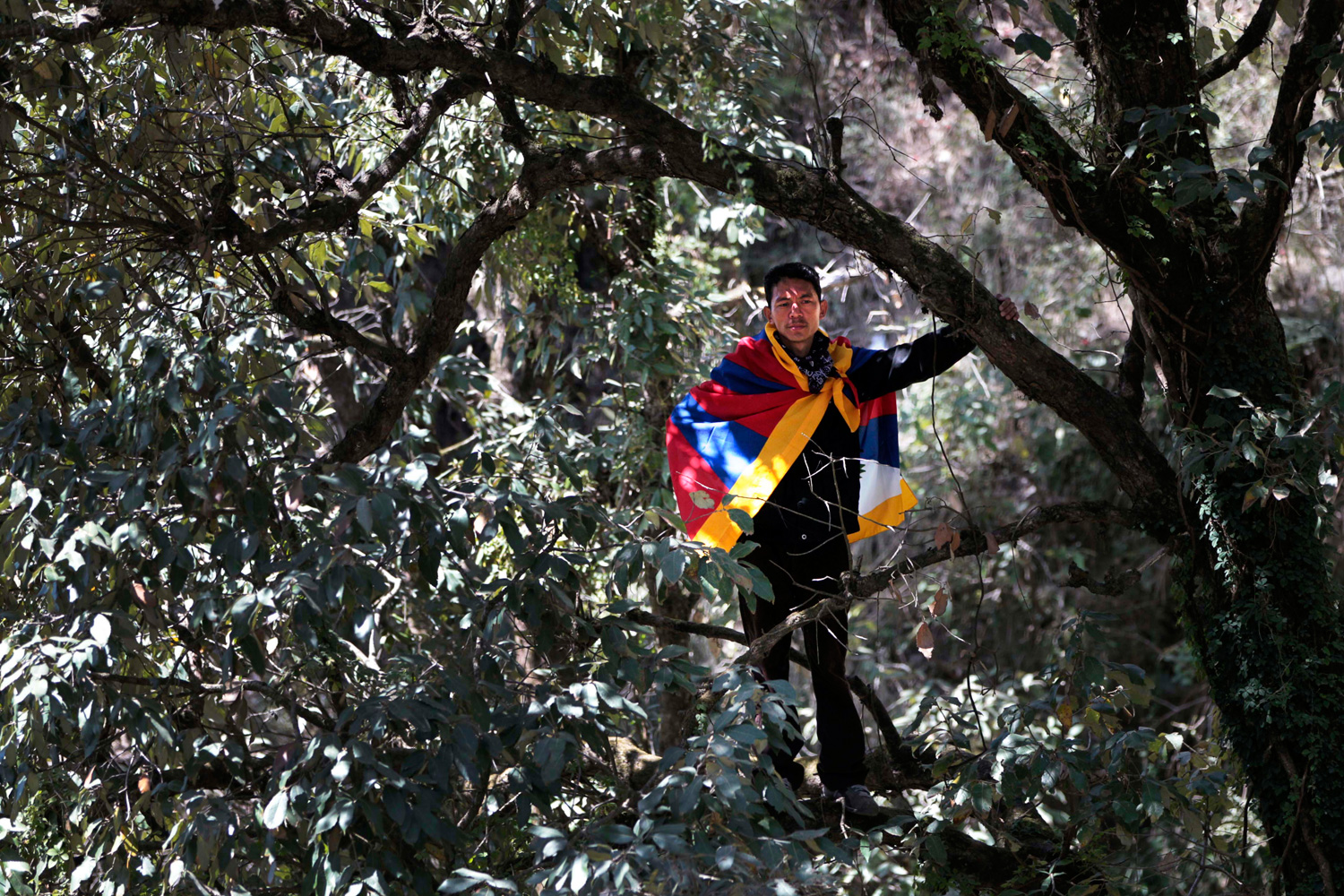 March 30, 2012. A Tibetan exile wrapped in the Tibetan flag climbs a tree to watch the final rite ceremony of 27-year-old Jamphel Yeshi in Dharamsala, India.