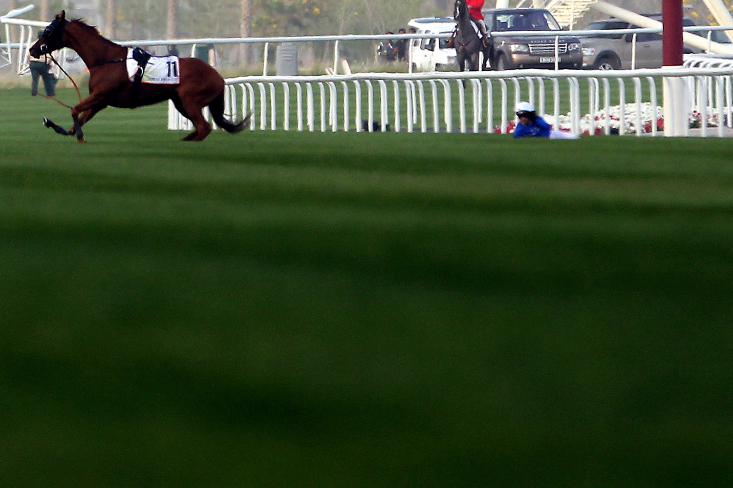 March 31, 2012. Fox Hunt, left, reacts in pain after falling with Brazilian jockey Silvestre De Sousa during the Dubai Gold Cup race at the Dubai World Cup, the world's richest horse race with prize money of $10 million U.S., at the Meydan race track in the Gulf emirate.