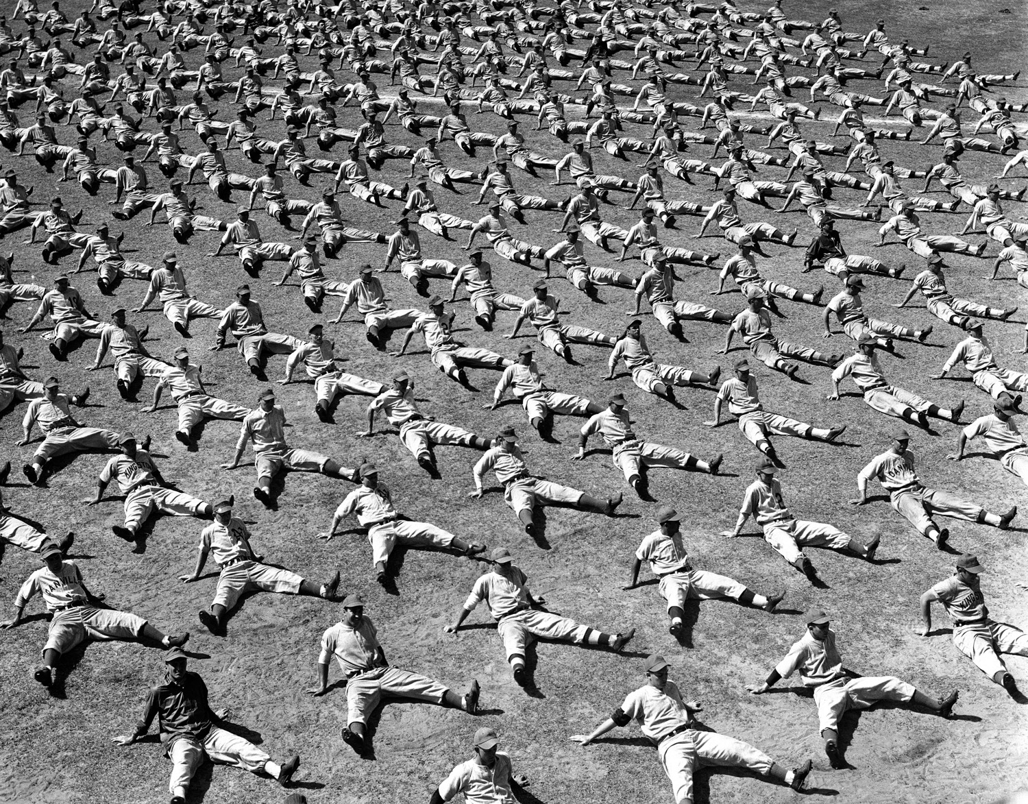 Brooklyn Dodger rookie hopefuls work out at spring training, 1948.