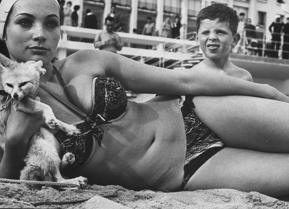 French starlet Philomene Toulouse angling for attention with her pet fox and bare torso at the Cannes Film Festival in 1962.