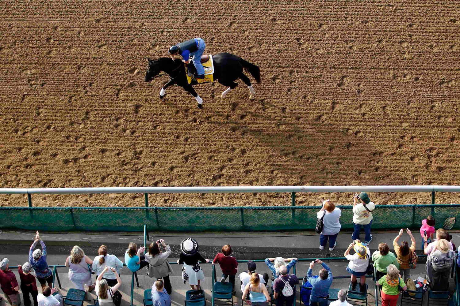 May 3, 2012. Jockey Borel aboard Take Charge Indy walks down the front stretch during morning workouts at Churchill Downs in Louisville, Ky.