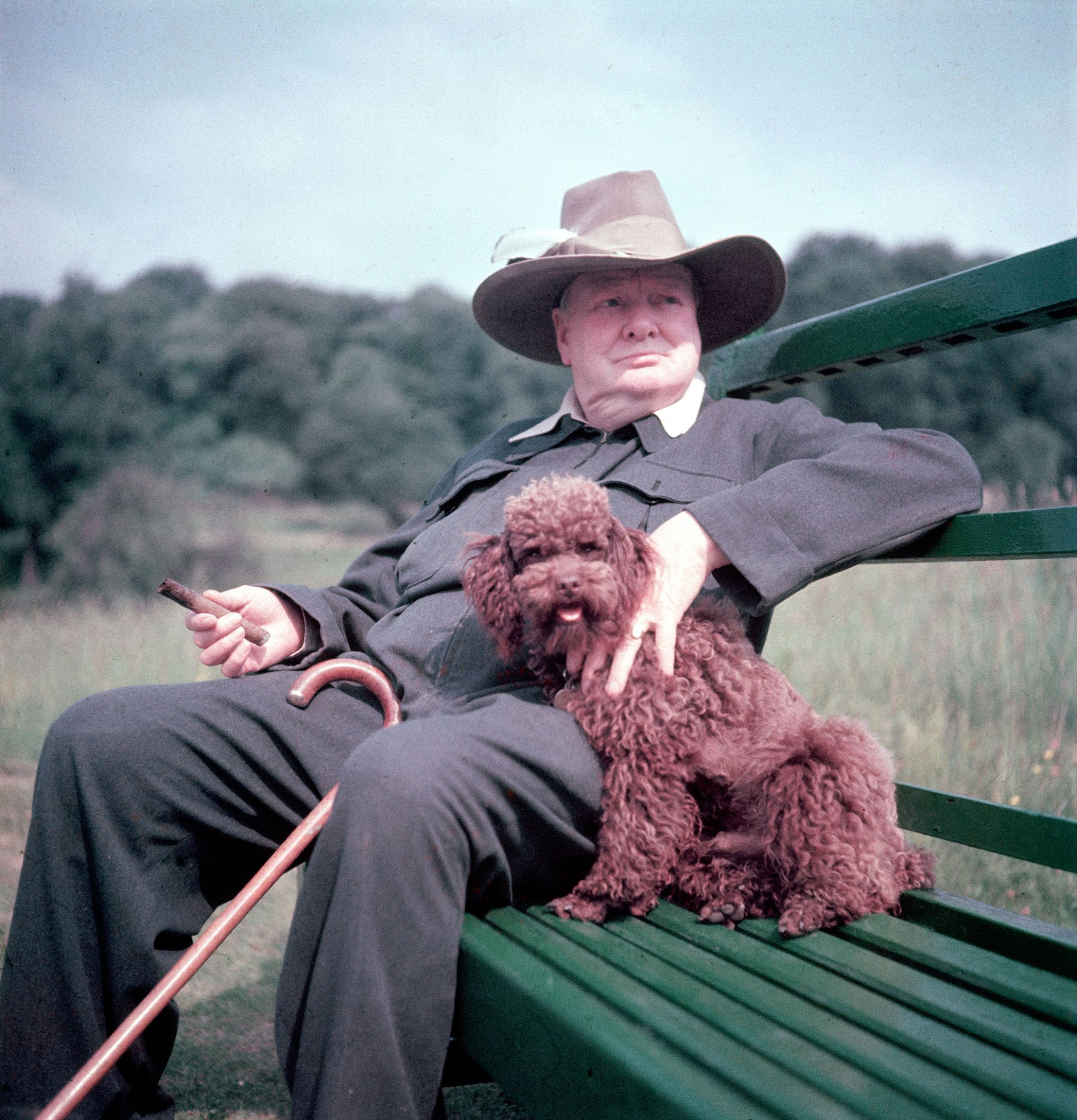Winston Churchill and his dog, Rufus, at Chartwell in 1950.