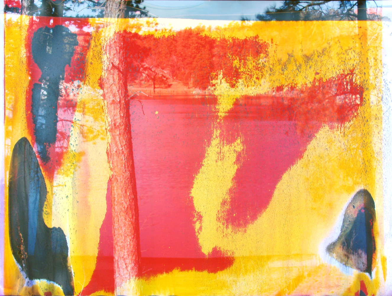 Horse Thief Lake, WA 3, 2008. Chromogenic print soaked in Horse Thief Lake water.
