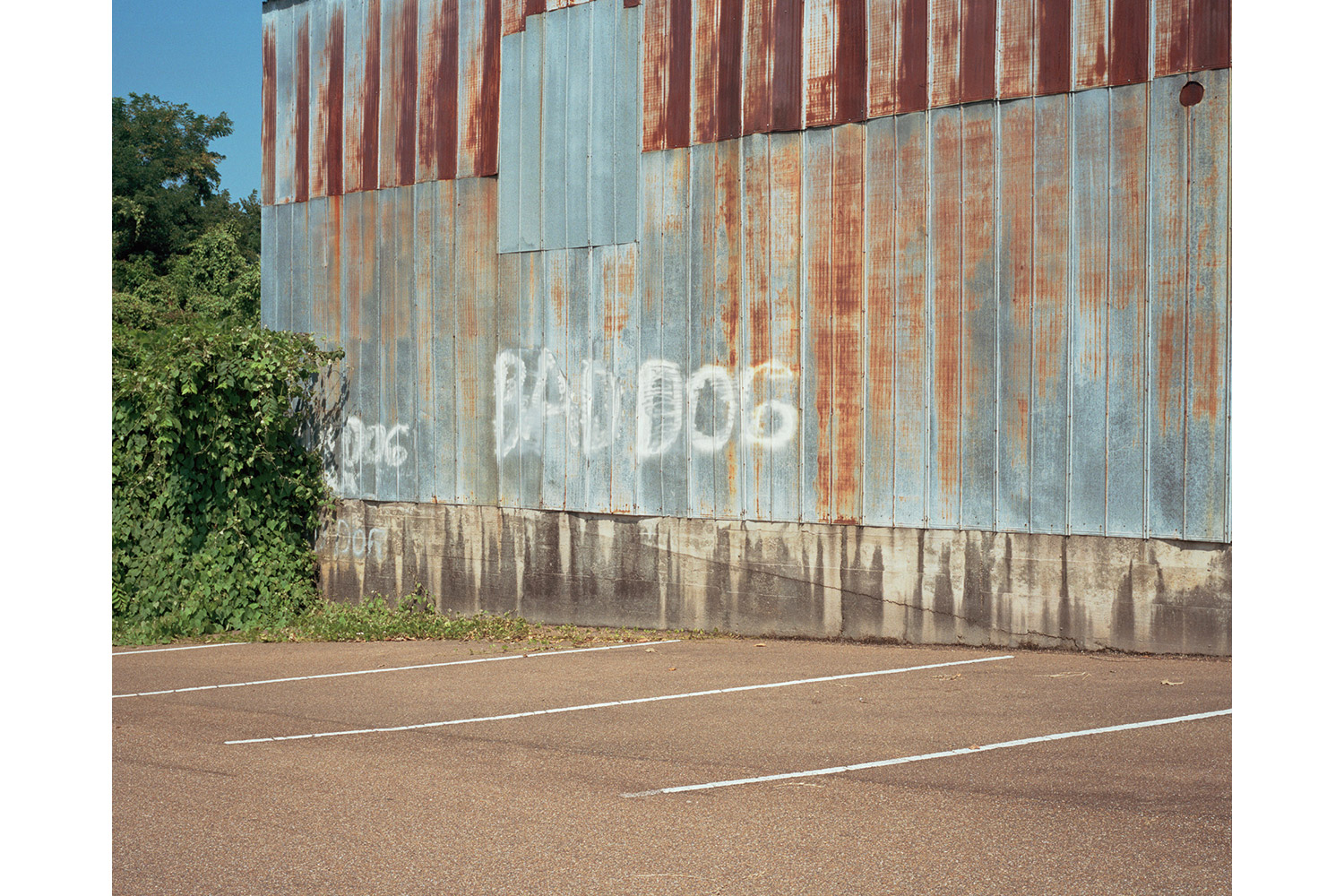 Bad Dog, 2010