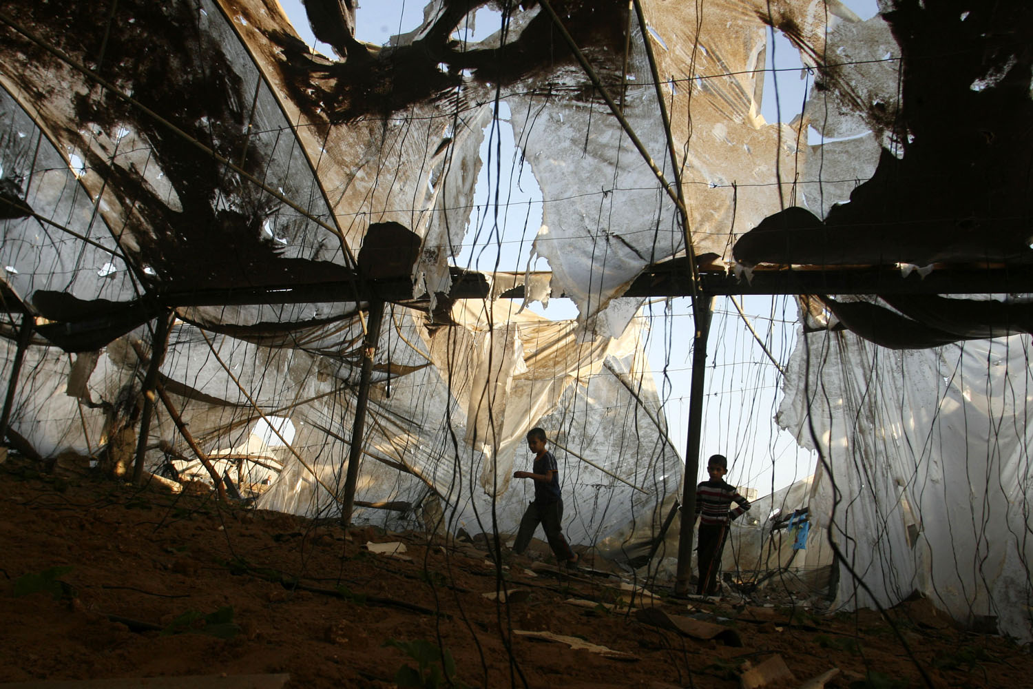 June 5, 2012. Palestinians inspect the damage at a chicken farm in the southern Gaza Strip town of Rafah following an Israeli air strike.