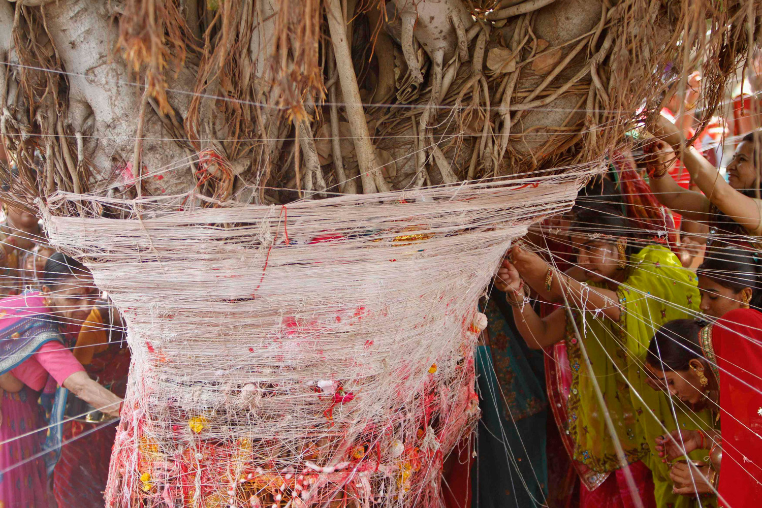 June 4, 2012. Married Hindu women tie sacred threads around a banyan tree in a ceremony during the religious festival of Vata Savitri Purnima in the western Indian city of Ahmedabad. During the festival, married women fast for the whole day to pray for the betterment of their husbands, family and society.