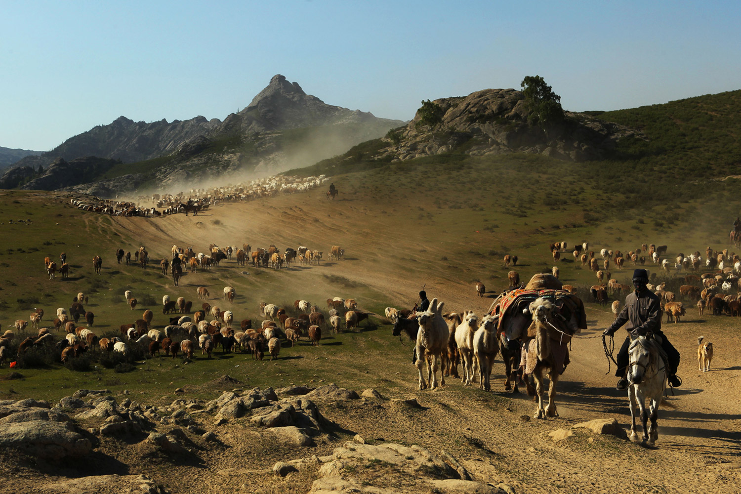 June 2, 2012. Kazakh nomads herd livestock with their caravan across a plain in Altay, in far west China's Xinjiang region.