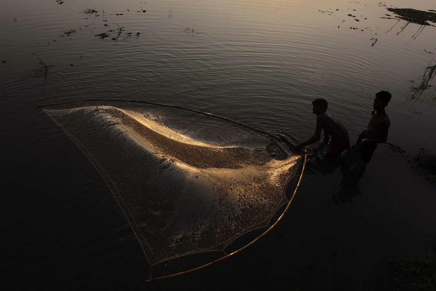June 8, 2012. Indian fishermen throw their fishing net in floodwaters in a paddy field in Pobitora, India.