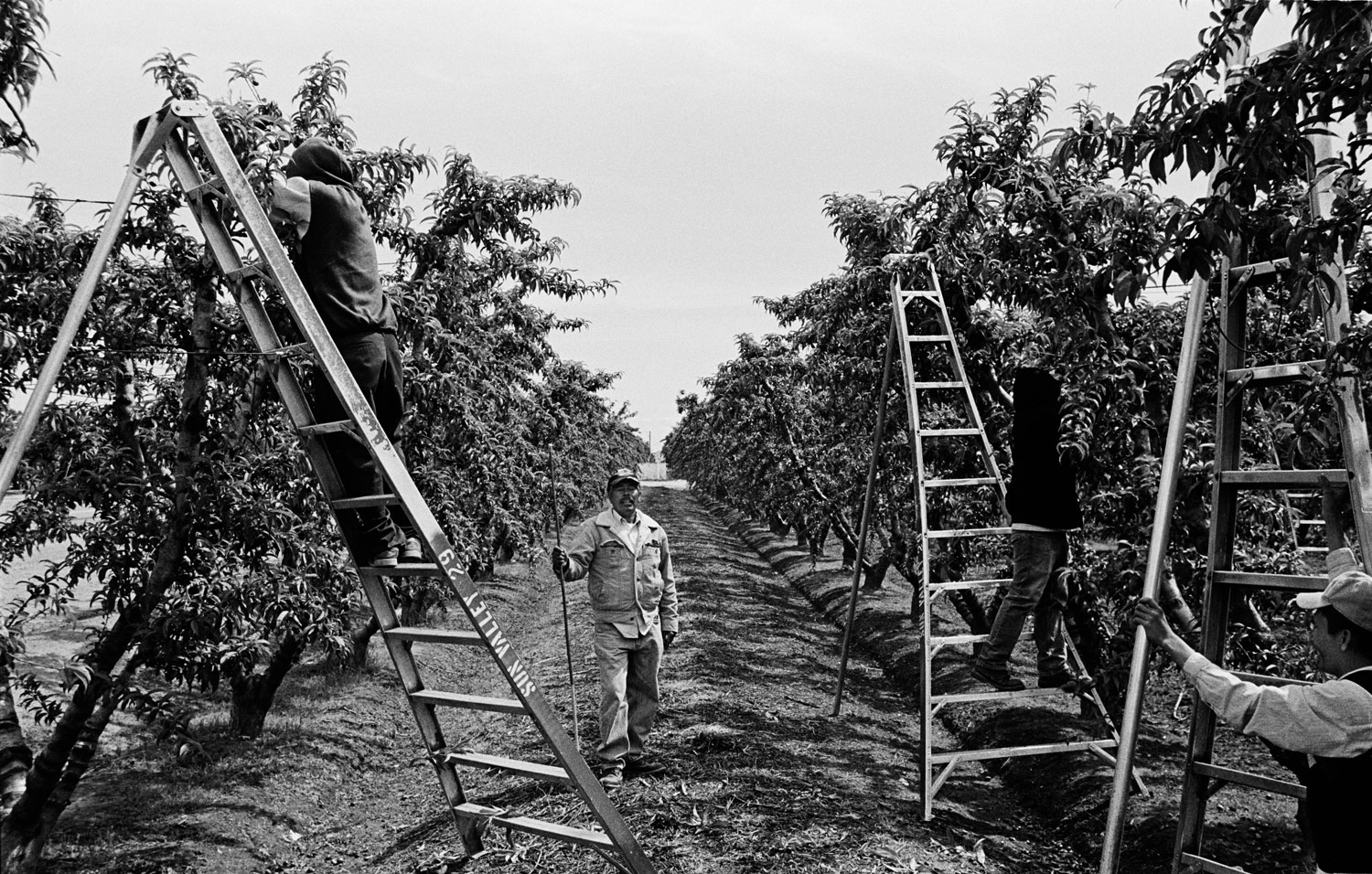 Migrant workers at the Sun Valley Farms in Woodlake, Calif. Low-paying agricultural work is one of the few labor options for the city's hispanic population.
