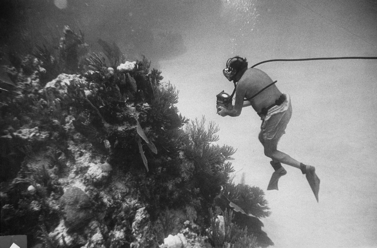 Fritz Goro on assignment off Bikini Atoll, shooting photographs for LIFE magazine, 1953.