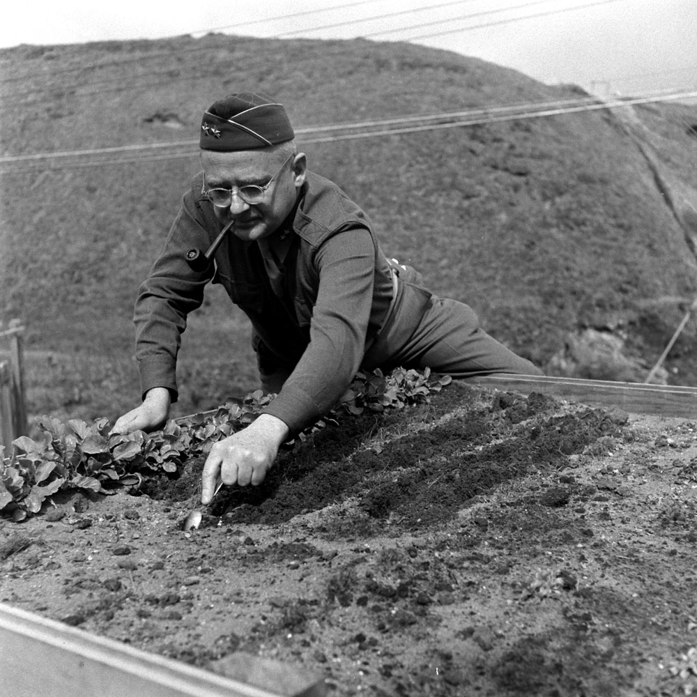 Gardening with a teaspoon, Aleutian Campaign, Alaska, 1943.
