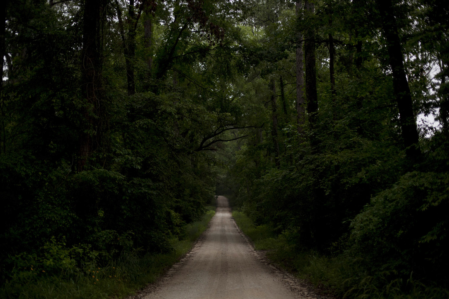 The Karolyi's training center is located at the end of  a long dirt road that winds through forest where deer and wild boars roam, outside of Houston.