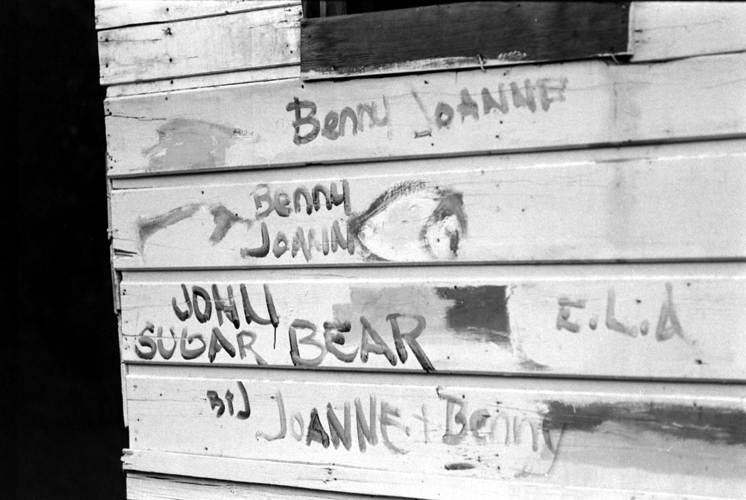Writing on the walls at Spahn Ranch, one-time home of the Manson Family, 1969.