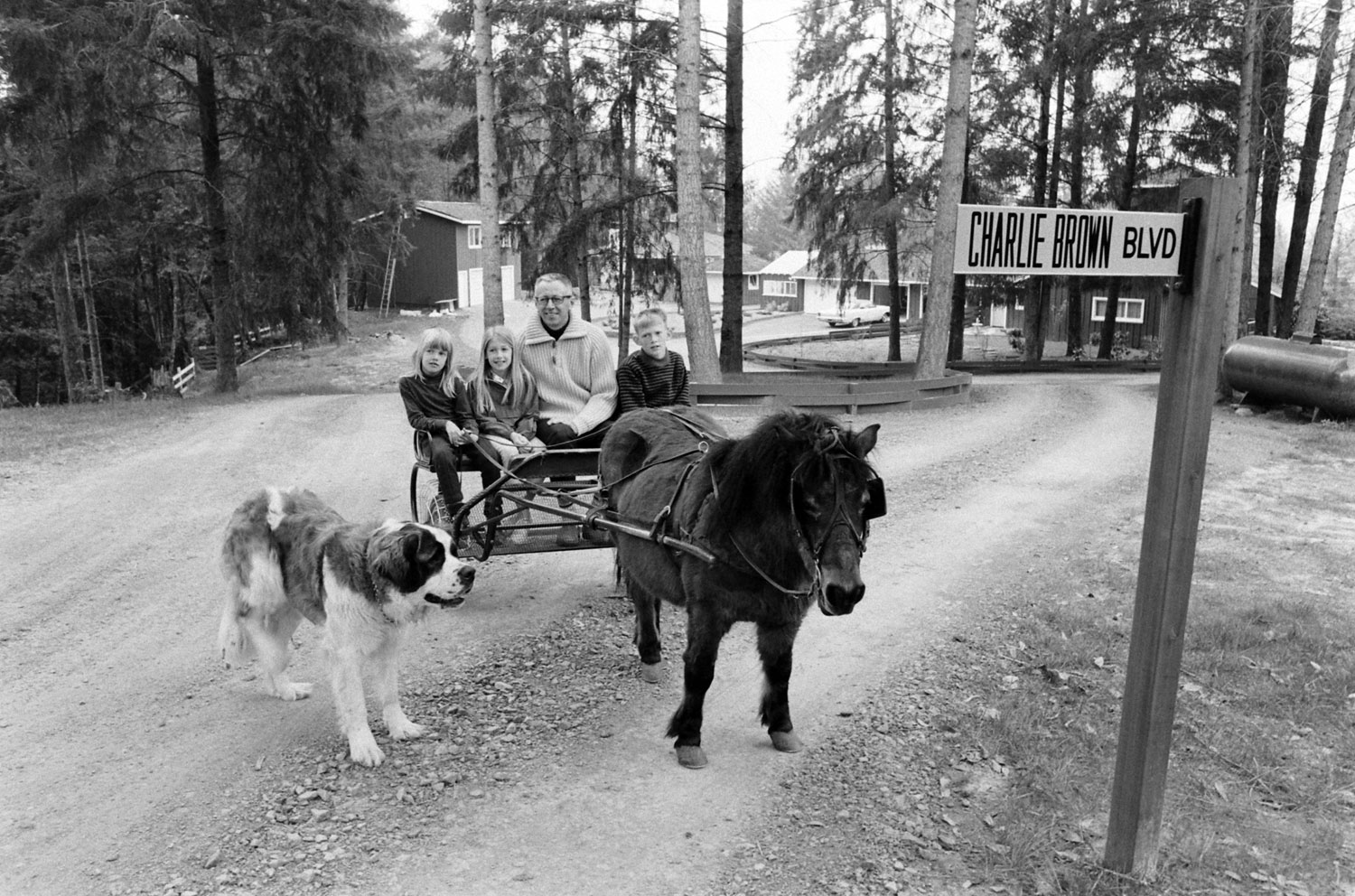 Charles M. Schulz with his kids, Jill, Amy and Monte, in California in 1967.